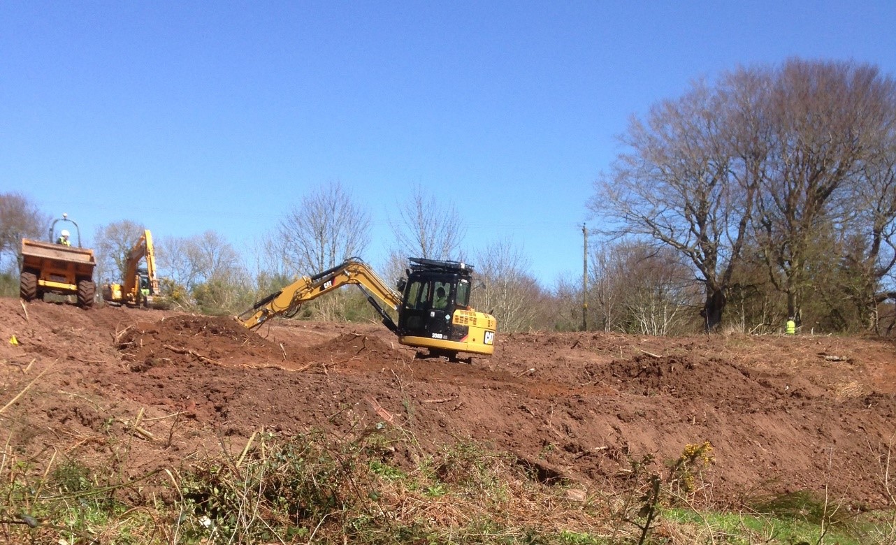 japanese knotweed removal before construction