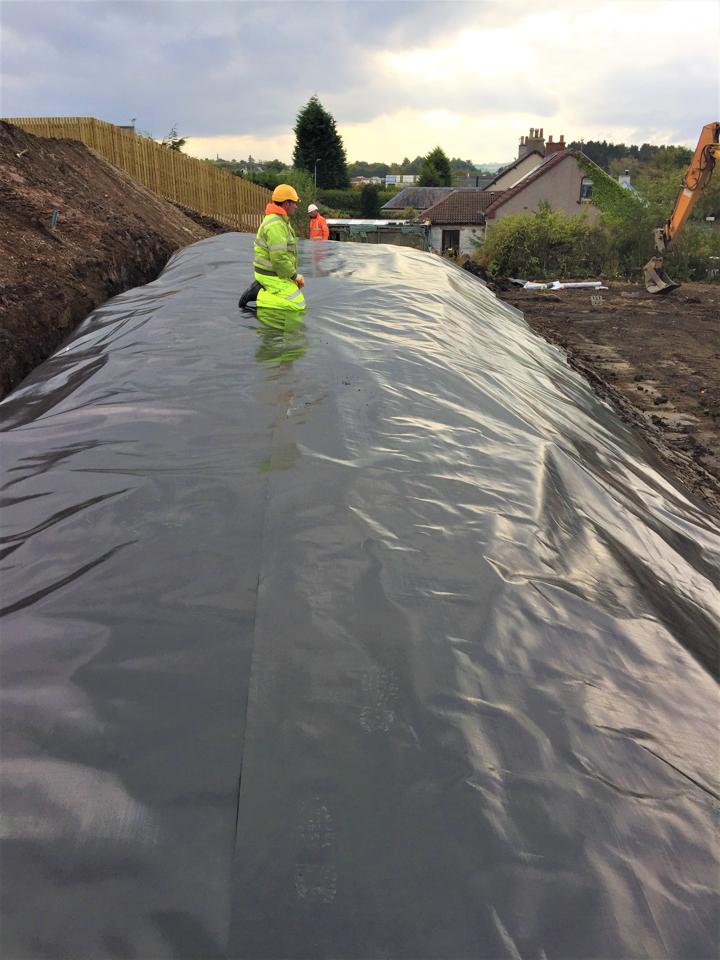 japanese knotweed treatment construction